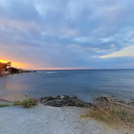 Charmant Appartement Vue Mer A 100M De La Plage. 圣艾格夫 外观 照片