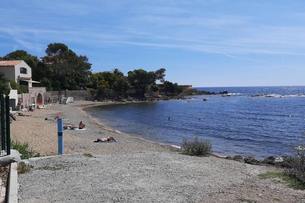 Charmant Appartement Vue Mer A 100M De La Plage. 圣艾格夫 外观 照片